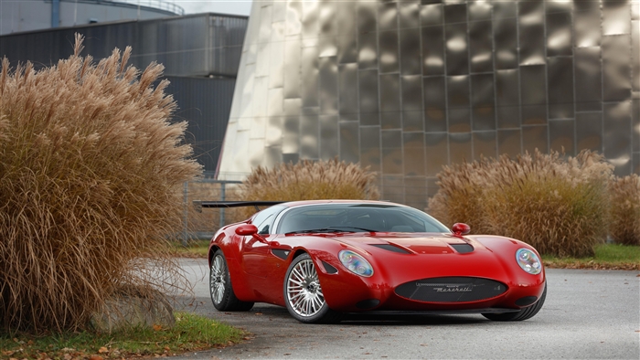 Maserati Zagato Mostro