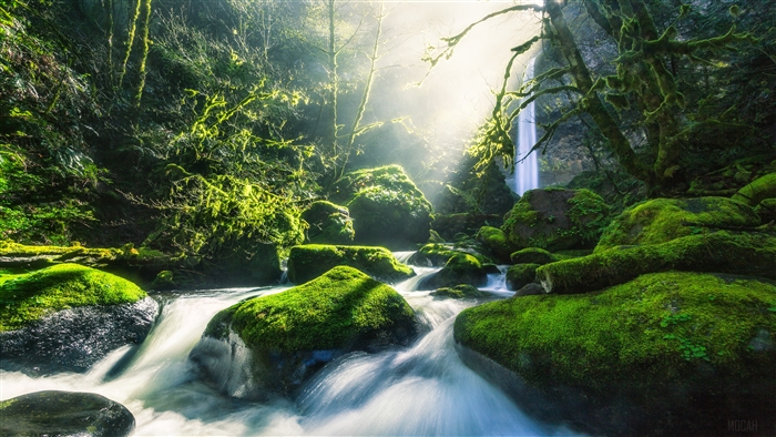 Mossy Rocks and Waterfall in Columbia River 4K