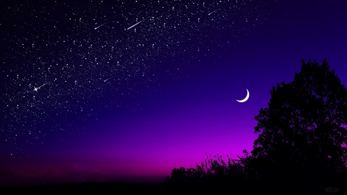 Starry Night Sky with Crescent Moon and Tree Silhouette 4K