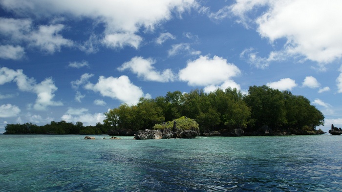 Island with trees and turquoise water under a cloudy sky
