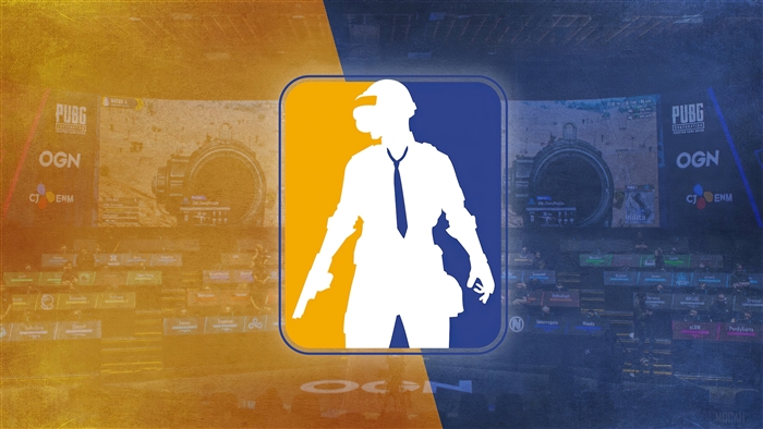 PUBG Player Silhouette with OGN Logo