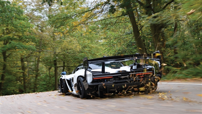 McLaren Senna GTR 2020