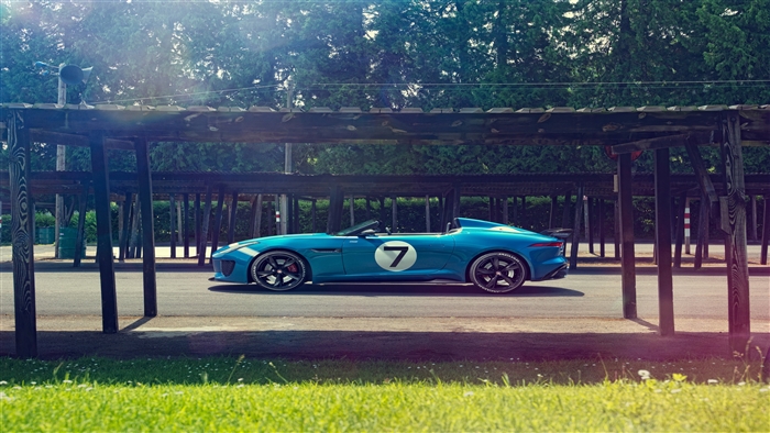 Blue Jaguar Project 7 4K