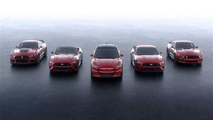 Ford Mustang Variants