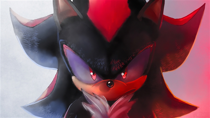 Shadow the Hedgehog from Sonic The Hedgehog 4K