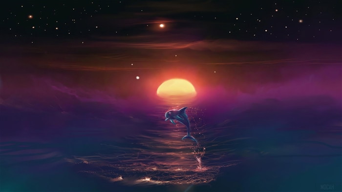Dolphin jumping at sunset 4K