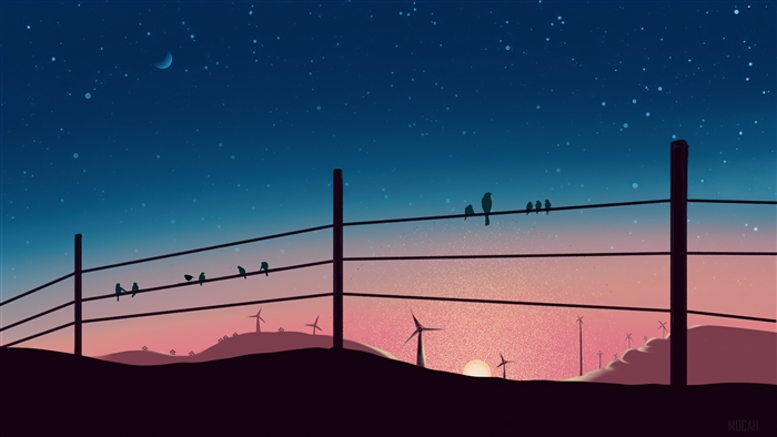 Birds Sitting on Powerline at Sunset 4K