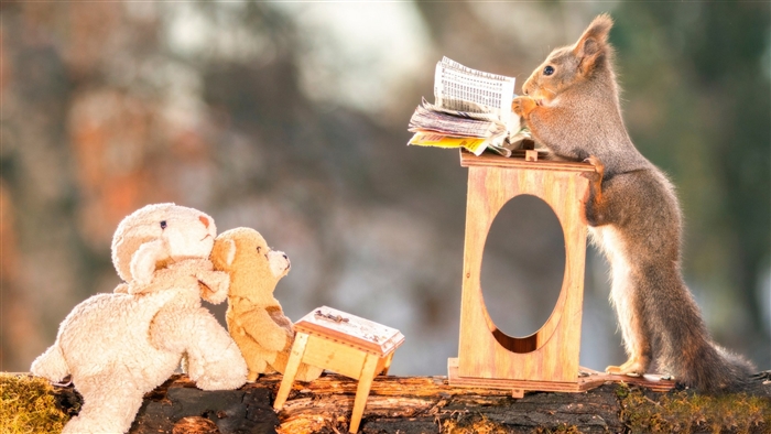 Squirrel reading to teddy bears