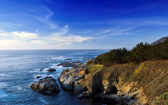 Rocky coastline with trees and ocean under blue sky