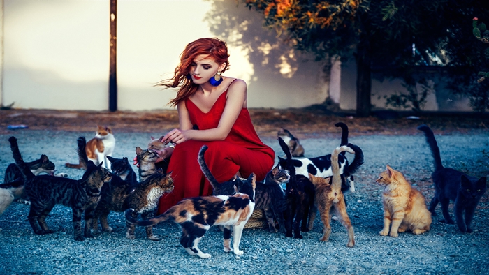 Woman in Red Dress with Many Cats 4K