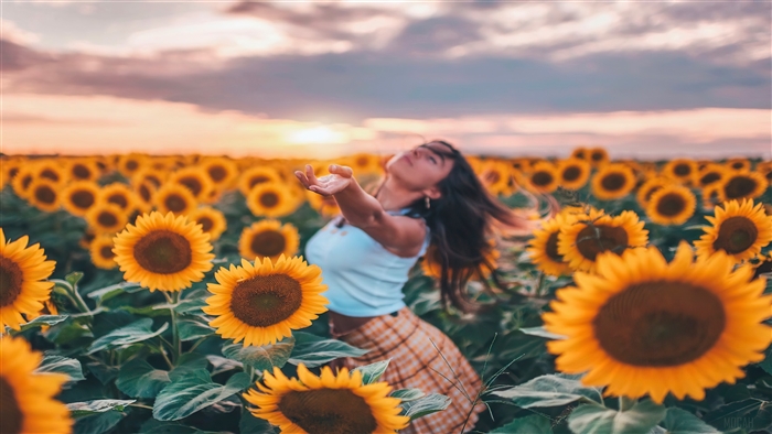 Girl in Sunflower Field at Sunset 4K