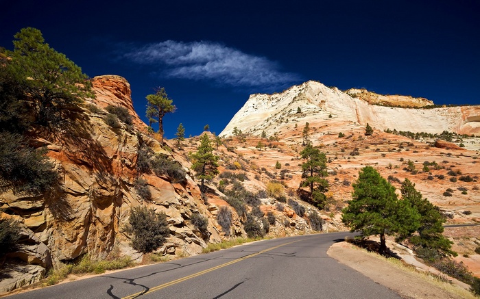 Scenic road through Zion National Park with sandstone cliffs