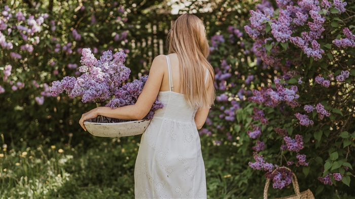 Woman in white dress collecting lilacs