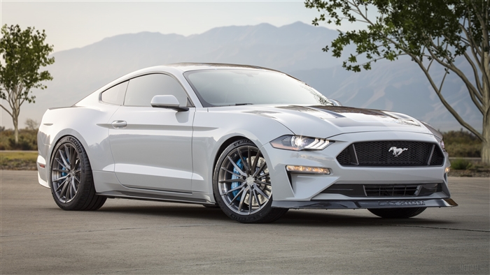 2019 Ford Mustang Lithium 4K