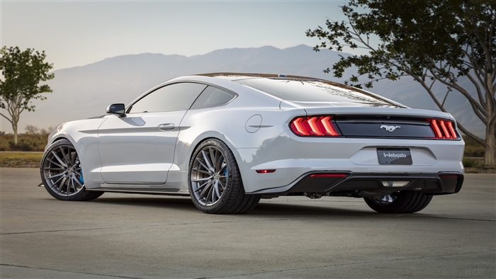 2019 Ford Mustang Lithium 4K Rear View