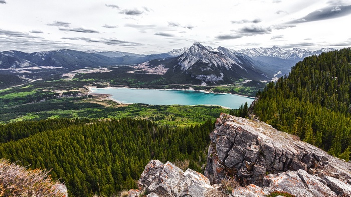 Mountain landscape with a turquoise lake and pine forest