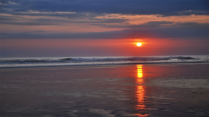 Beach Sunset 4K