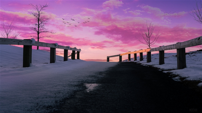 Pink Sky Over Snowy Path with Wooden Fence