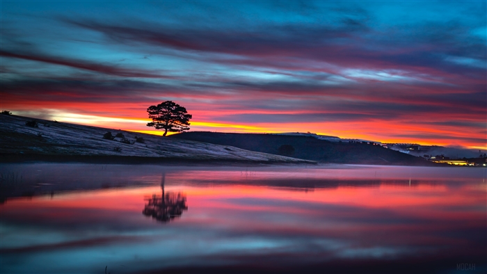 Tree Reflection on Lake at Sunset 4K