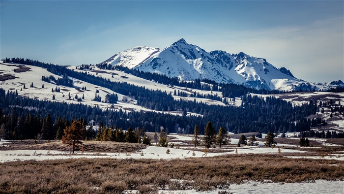 Snow-covered mountain range with pine trees