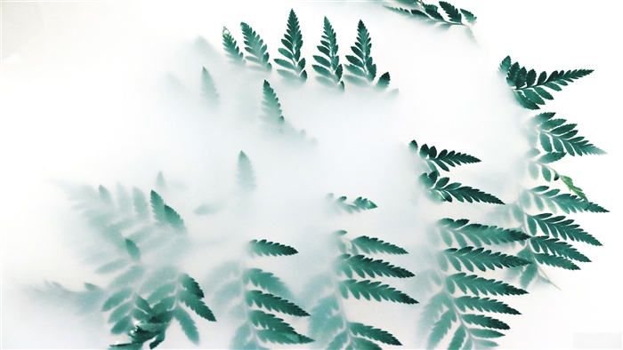 Green fern leaves in fog 4K