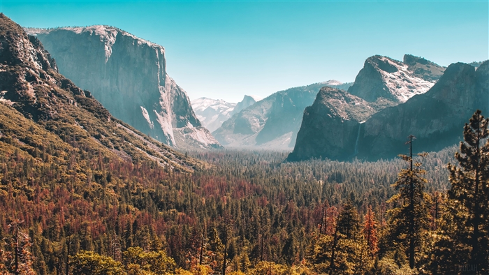Yosemite Valley Forest and Mountains 4K