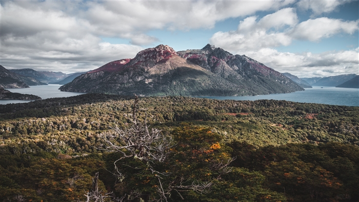 Aerial view of a lake and mountains with forest