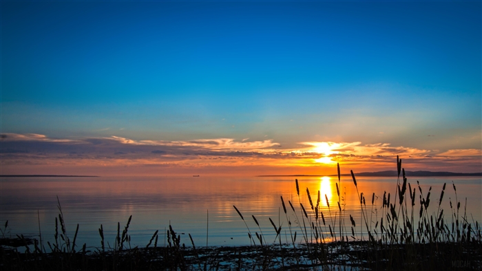 Serene Lake Sunset Landscape 4K