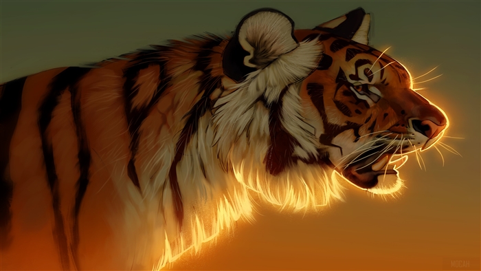 Tiger in Evening Glow 4K