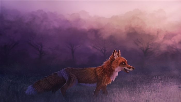 Misty Red Fox