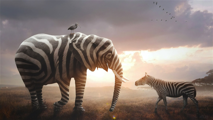 Elephant and Zebra in Savannah 4K