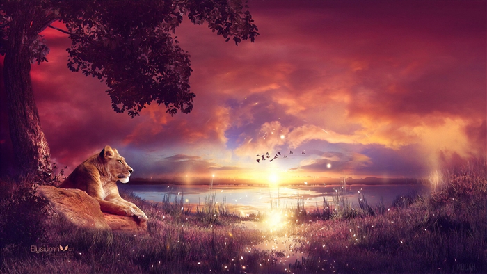 Lioness Enjoying Sunset by Water