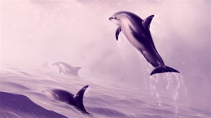 Dolphins Jumping Out Of Water 4K