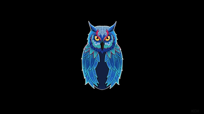 Blue owl illustration