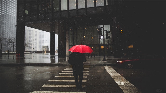 Person with Red Umbrella in Rain