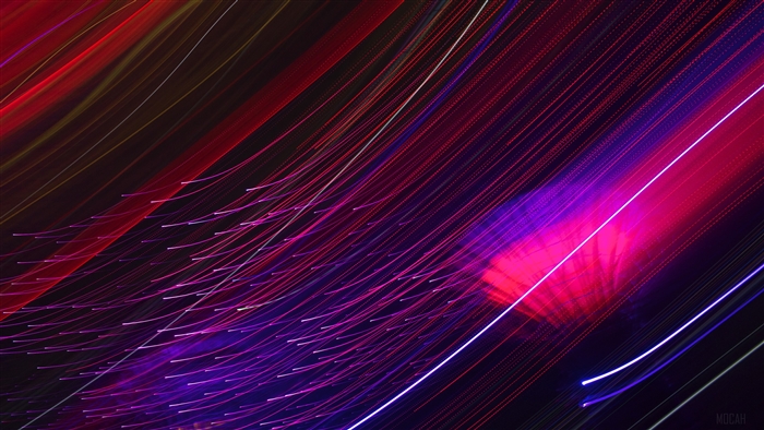 Light trails at Gardens By The Bay 4K