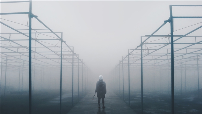 Person in a foggy greenhouse