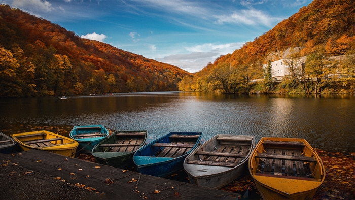 Colored Row Boats on Lake in Autumn
