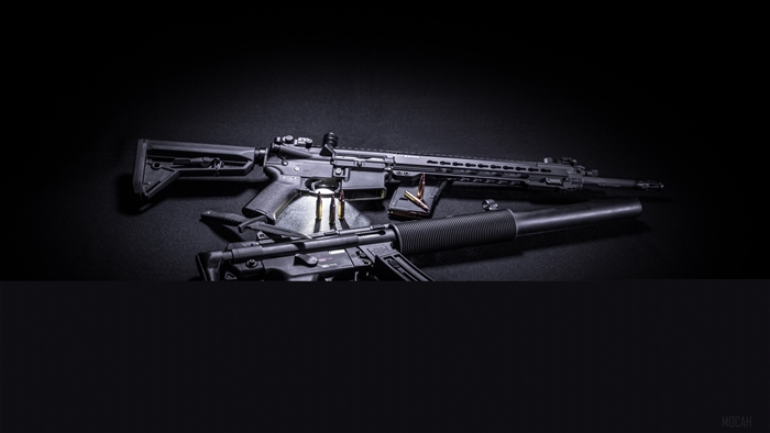 Two Black Assault Rifles