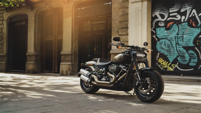 Harley Davidson Fat Bob motorcycle parked on street