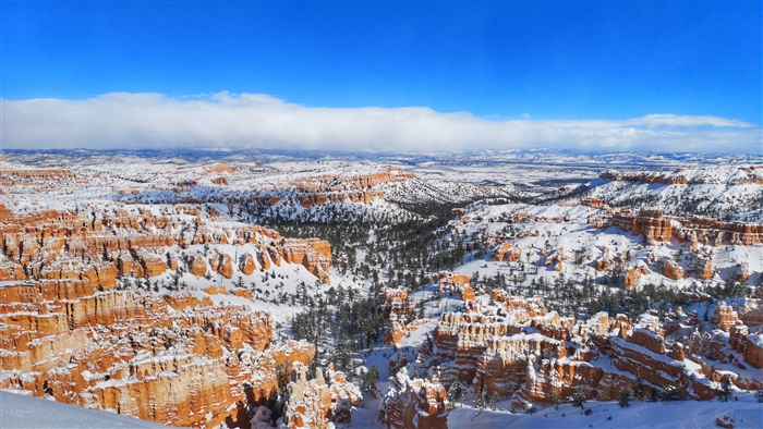 Snowy Bryce Canyon National Park Landscape 4K