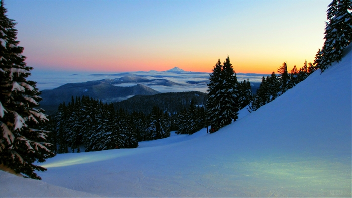 Snowy mountain landscape at sunrise with fir trees