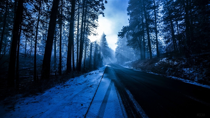 Dark Snowy Forest Road at Evening 4K