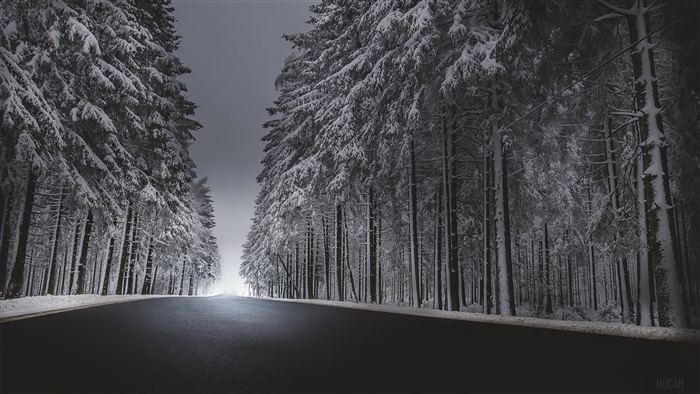 Winter road through snow-covered forest