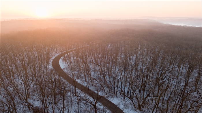 Road through snowy forest at sunrise