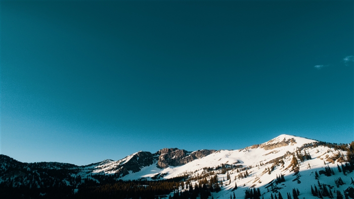 Snow Capped Mountains And Trees