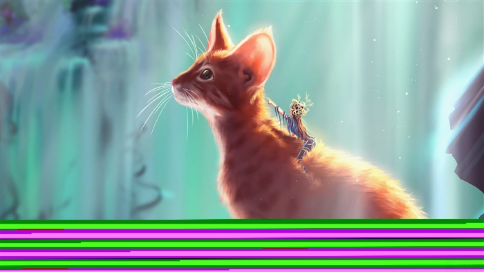 Cat Rider
