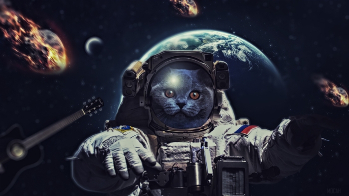 Cat Astronaut with Guitar in Space 4K