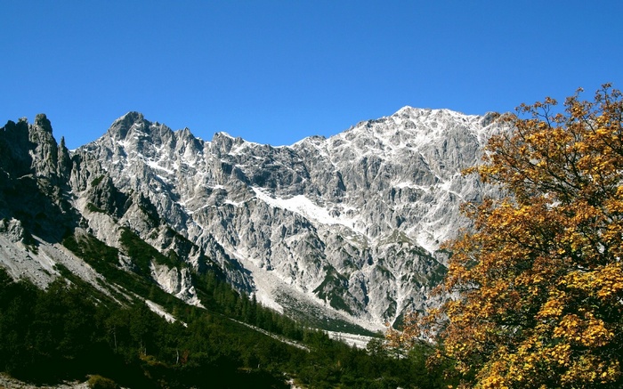 Snow-capped mountains and autumn tree