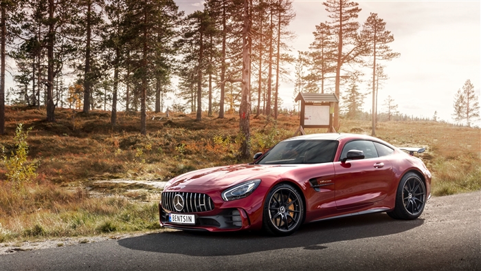 Red Mercedes AMG GT R in a forest setting